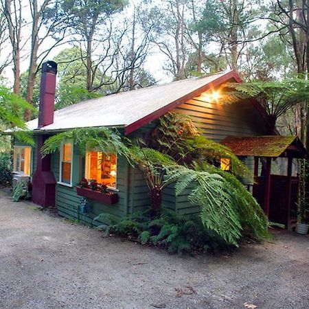 Cottage In The Forest Olinda Quarto foto